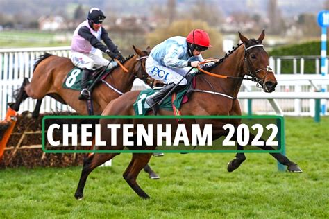 cheltenham festival betting 2022